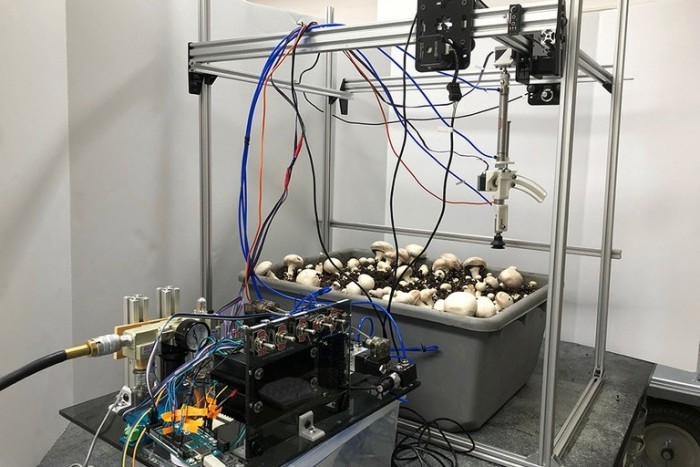 研究人员开发出能用于采摘和修剪双孢蘑菇的吸盘机器人