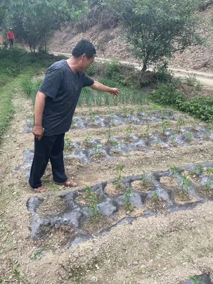 普洱市有多少人口_煮茶有什么技巧 茶马网(2)