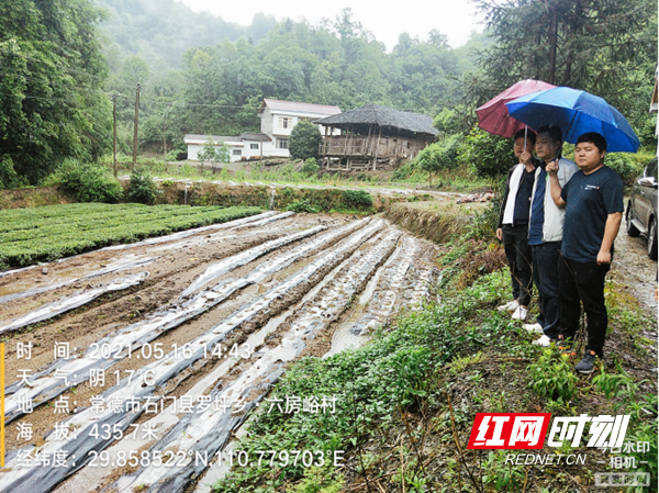 在罗坪乡六房峪村查看受灾情况.