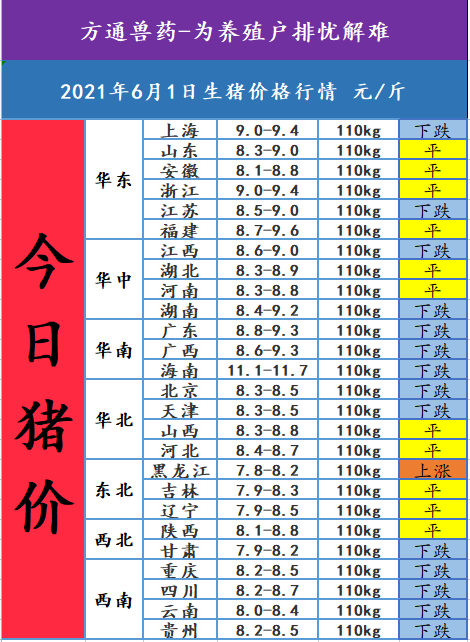 2021年6月1日,今日猪价