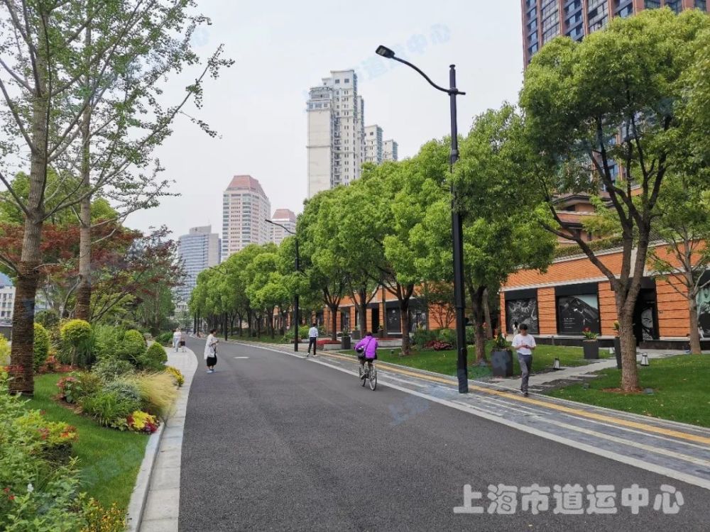 上海这条道路变成了"世外桃源,在这里,你可以诗意地栖居【精品路】