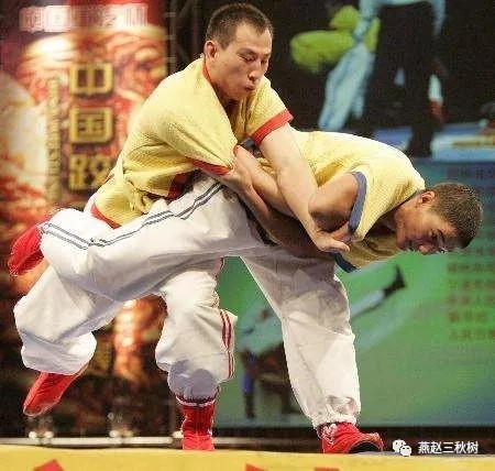 2006年中国跤王争霸赛变化大