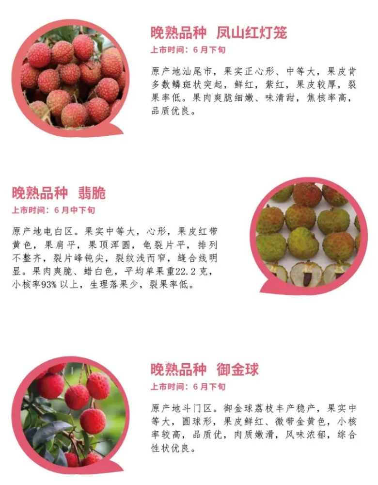 桂味,糯米糍,冰荔,翡脆,御金球,北园绿,岭风丰糯,唐夏红,凤山红灯笼 7