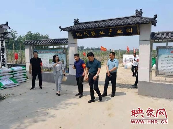 于晓征深入新蔡县宋岗乡调研指导三夏生产,秸秆禁烧工作