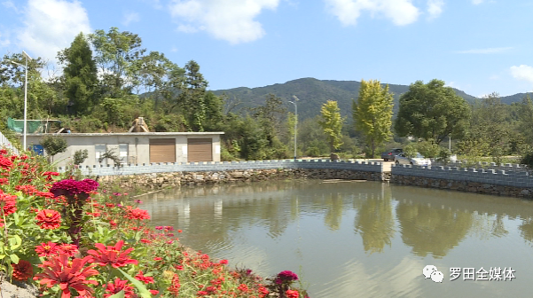 点赞罗田大崎镇项家河村水美虾肥日子红美丽乡村展新颜