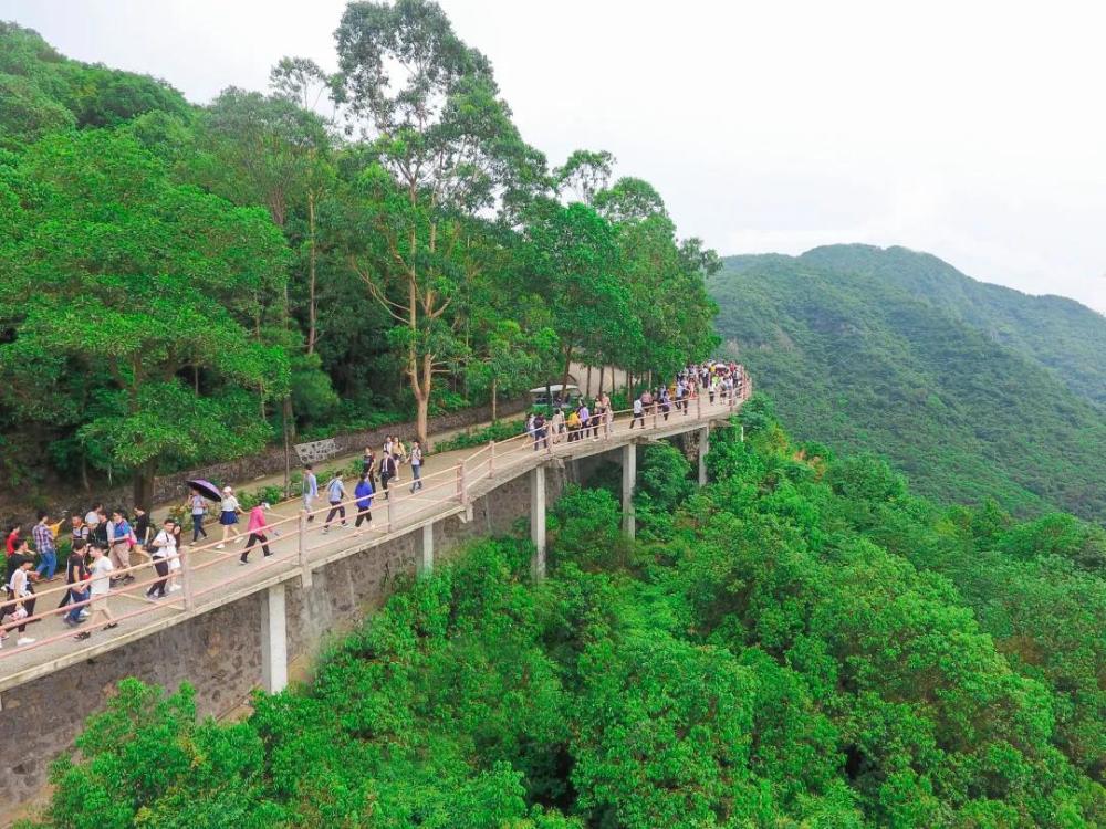 第二届东莞观音山森林文化节活动延期公告