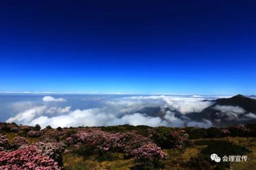 会理入围天府旅游名县候选县申报名单