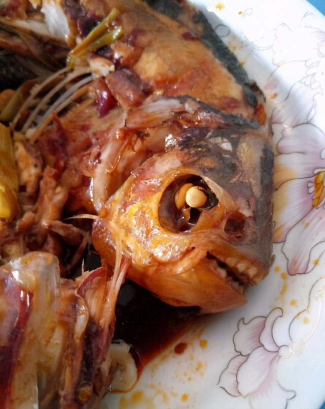 广东河道有人放生上千条鱼,都是食人鲳?网友:这鱼能咬死鸭子