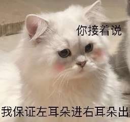 男朋友不回消息时可以发的表情包