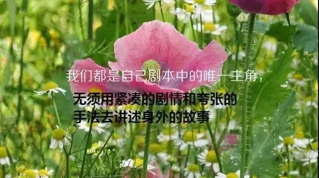 富有哲理的正能量朋友圈,早安心语