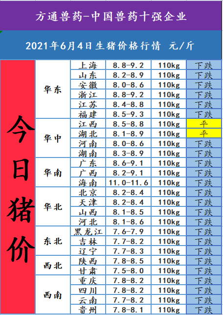 2021年6月4日,今日猪价