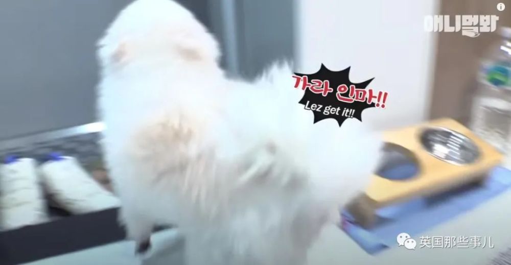 猫的天空之城人均消费_天空之城简谱(3)