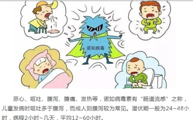 如何预防诺如病毒!