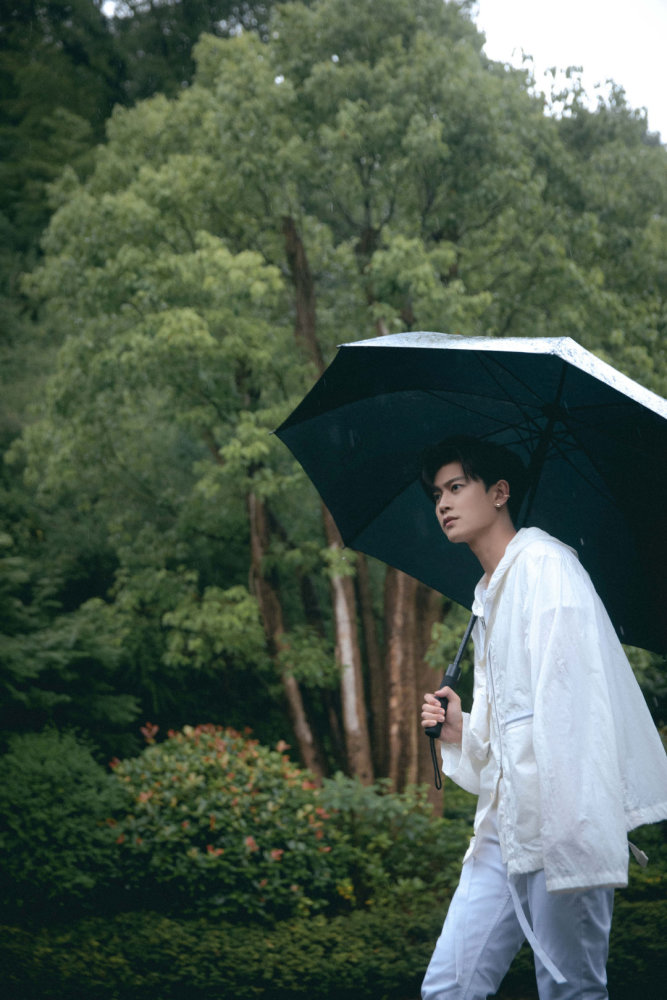 任嘉伦雨中撑伞照