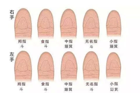 手上有几个斗的女人,天生好命,旺夫聚财,大富大贵