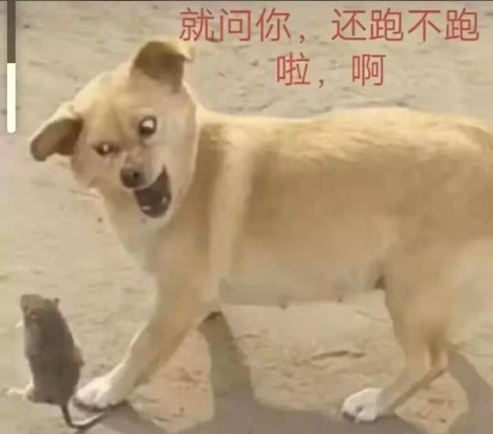 搞笑趣图—这就是传说中的野王?猴哥:不要怂!一起上!
