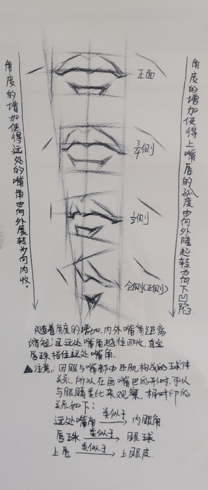 素描嘴巴的画法步骤图