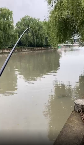 浑水泡沫高频逗钓鲤儿们排队上钩