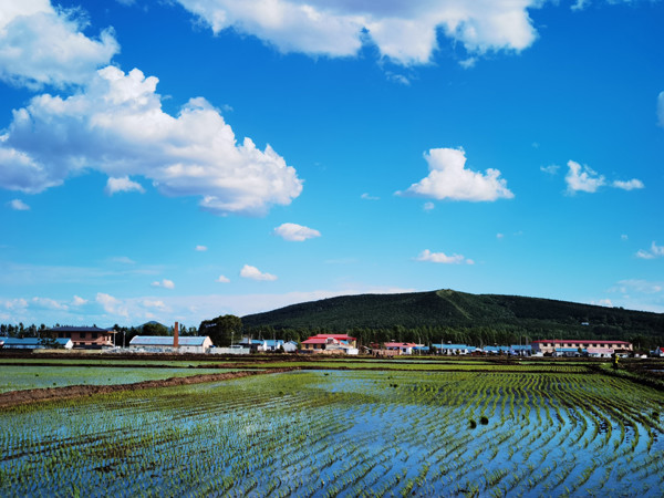 鸡西市城子河区:小池改大池 增地又增收