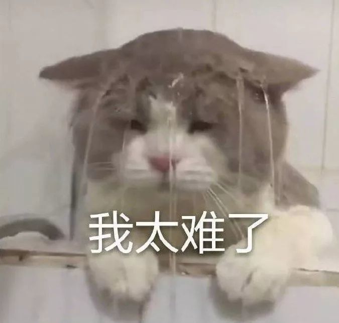 "一些满脸写着高兴的表情包"