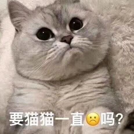 "一些满脸写着高兴的表情包"