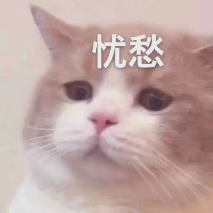 "一些满脸写着高兴的表情包"