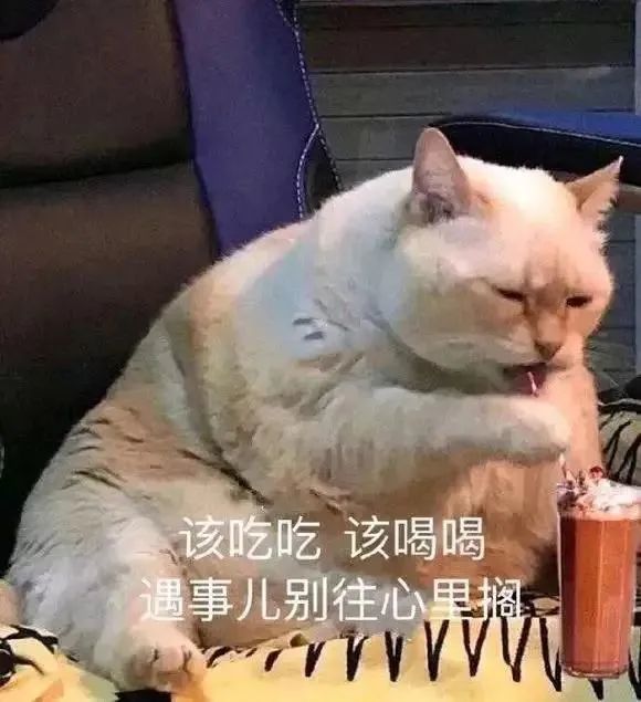 表情包 | 美女也会无语的