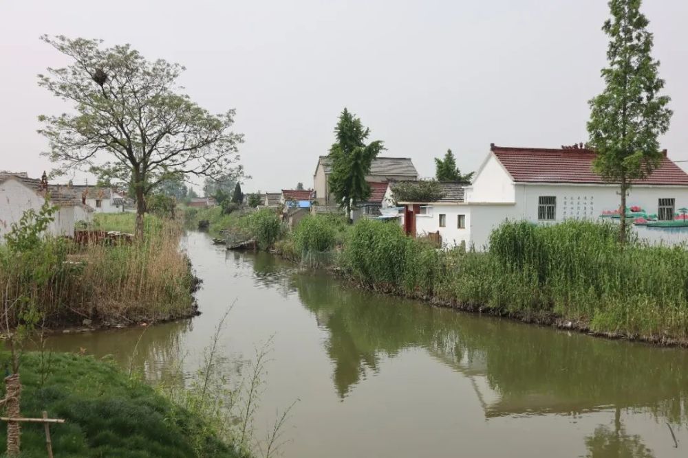 宝应这个省乡村旅游重点村,遍地都是文物宝藏!
