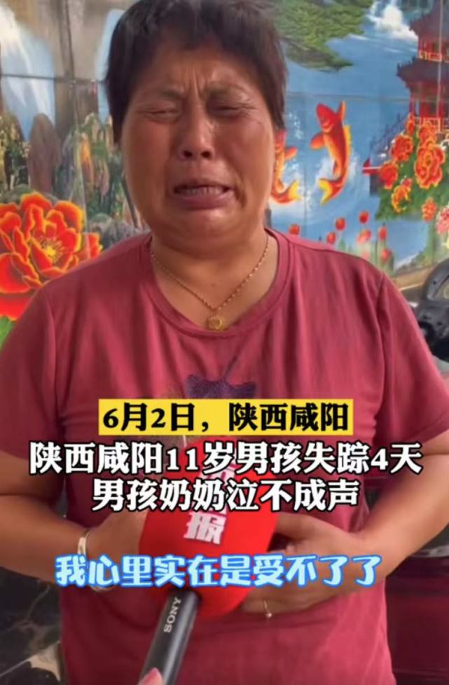 杨展豪,你个碎怂赶快回家!