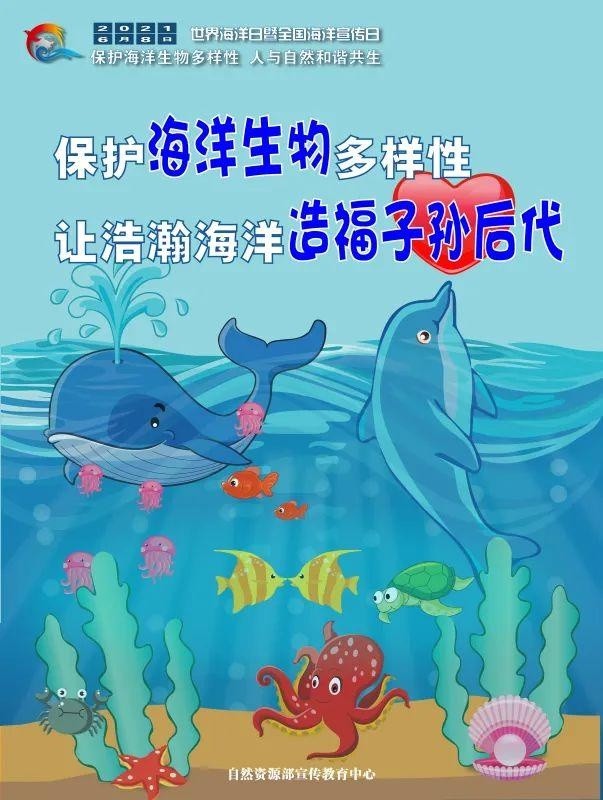 世界海洋日|海报·发现海洋之美 保护海洋生物多样性