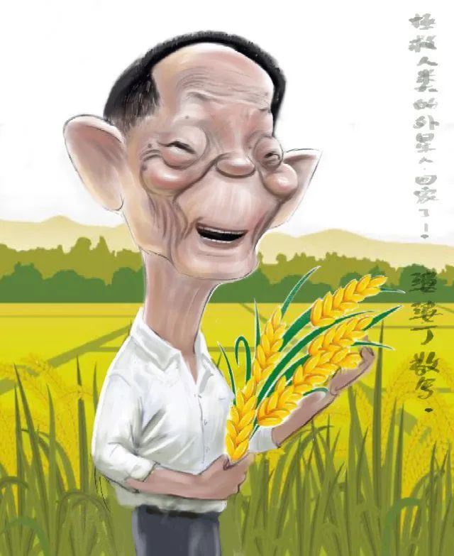 世界杂交水稻之父袁隆平漫画肖像第一集