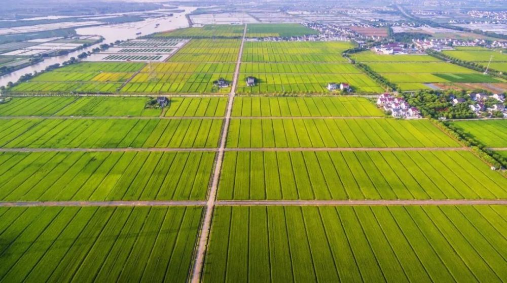 组织先行 成立苏州市吴江区省级现代农业示范园