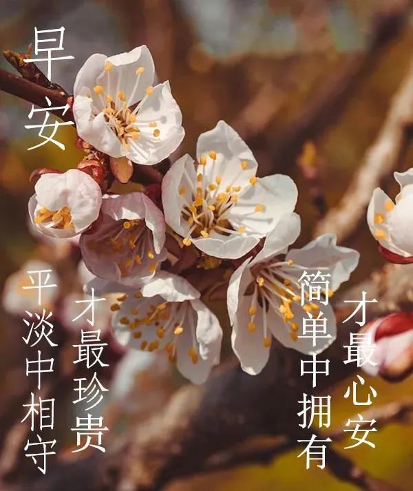 2022年3月11日特漂亮最新版早安动态图片 阳春三月好