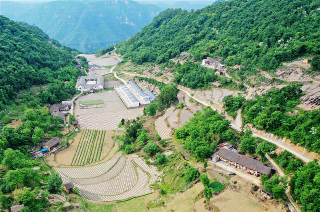 湖北保康:高山农田景美如画|保康县|湖北|高山|襄阳|歇马镇