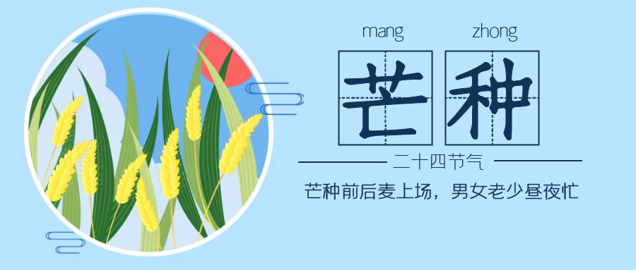 今日芒种"五毒月"遵循这些养生原则,远离百病.