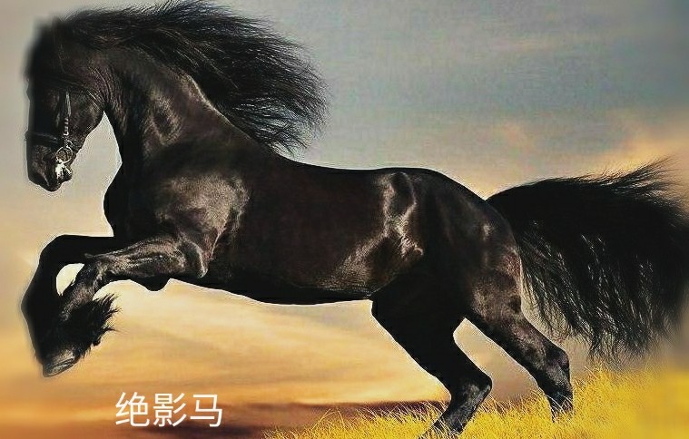 中国古代各时期名马!你喜欢哪一匹?