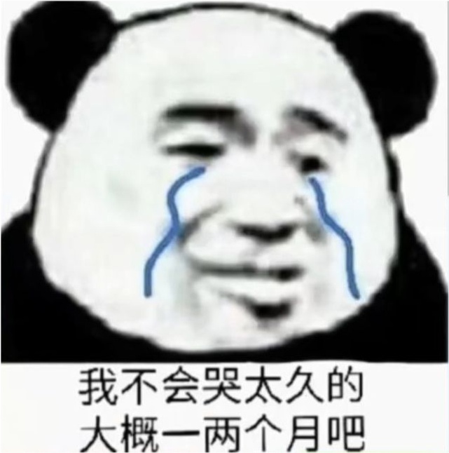熊猫表情包:难道你不放心我吗