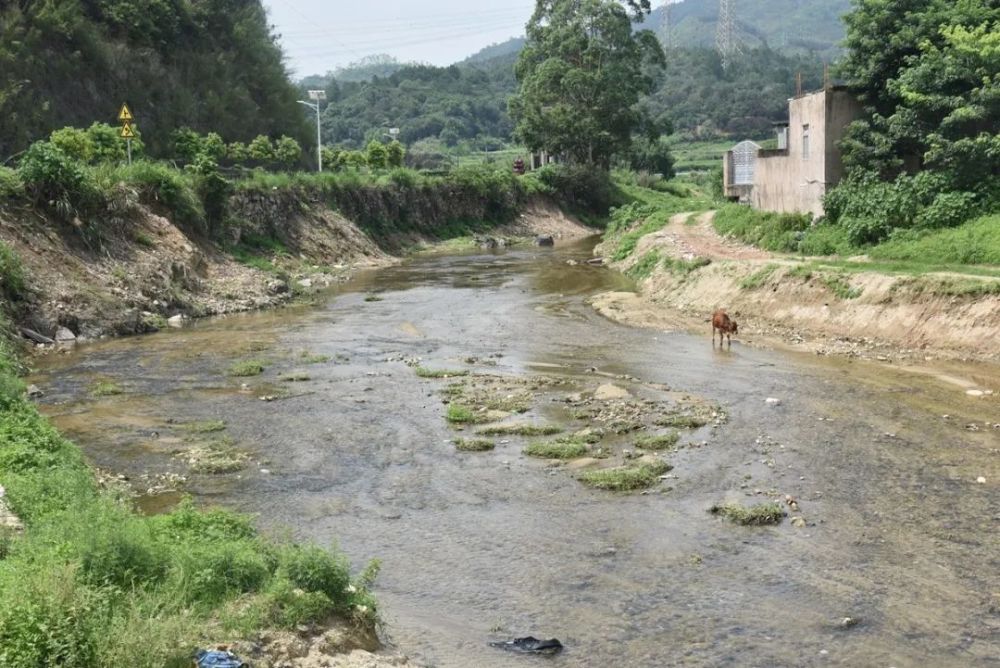 官桥九溪村:河道清淤显成效 水清岸绿换新貌