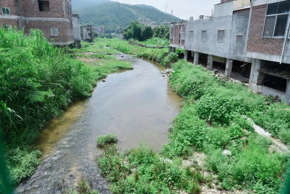 官桥九溪村:河道清淤显成效 水清岸绿换新貌