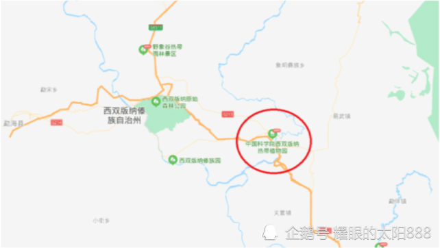 西双版纳植物园慌了!野象渡江失败逼近,育种作物危在旦夕
