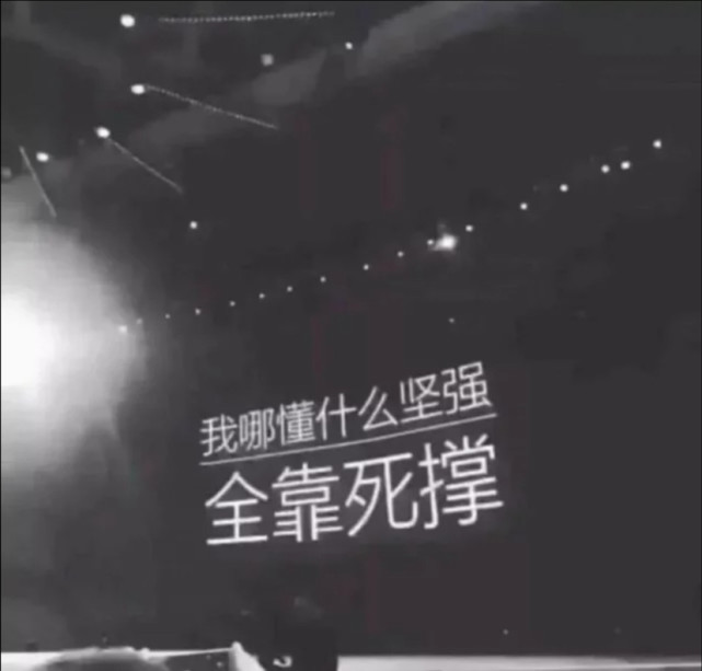 文案配图|人间挺好的 下次不来了