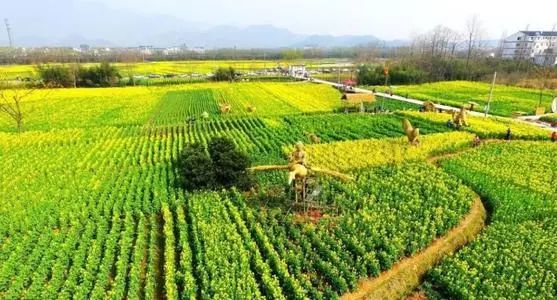 行业分析|资本汹涌来袭,农业三产融合怎么"融"?