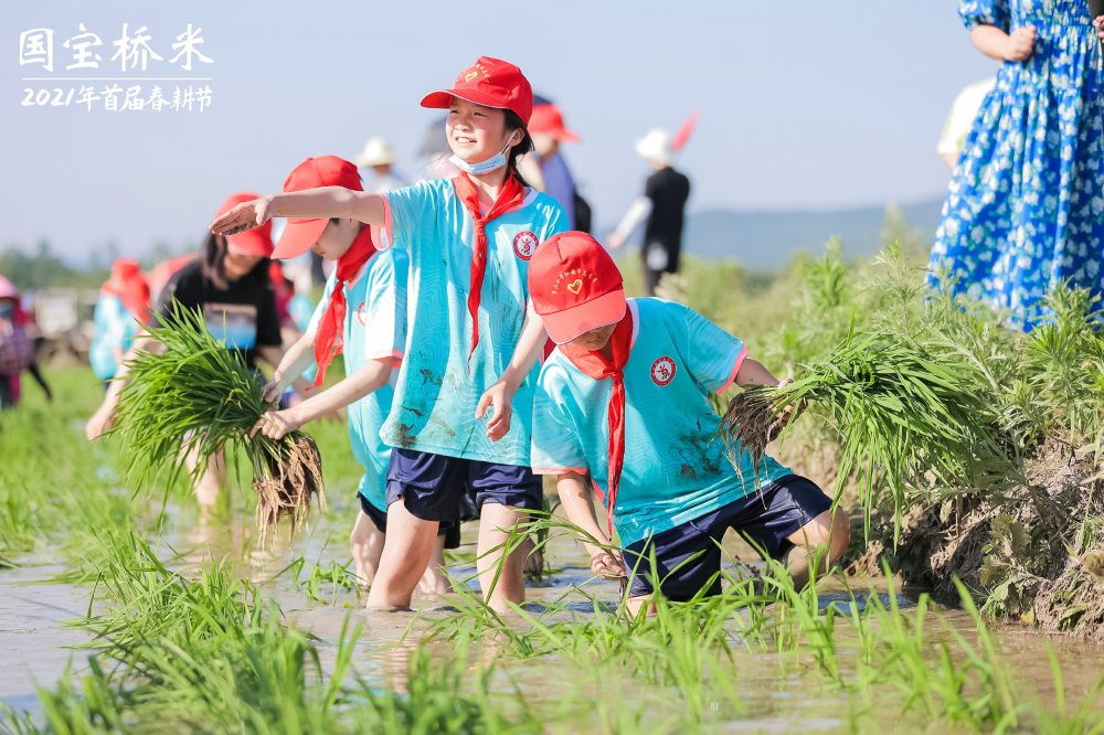 国宝桥米的这场创意春耕节 让无数人向往田园生活