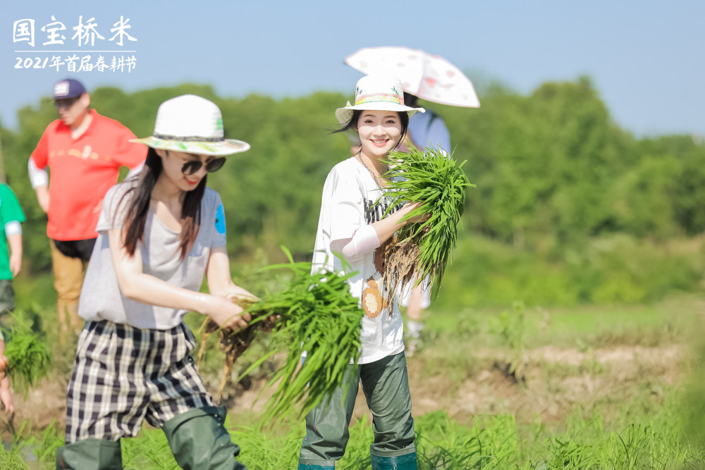 国宝桥米的这场创意春耕节 让无数人向往田园生活