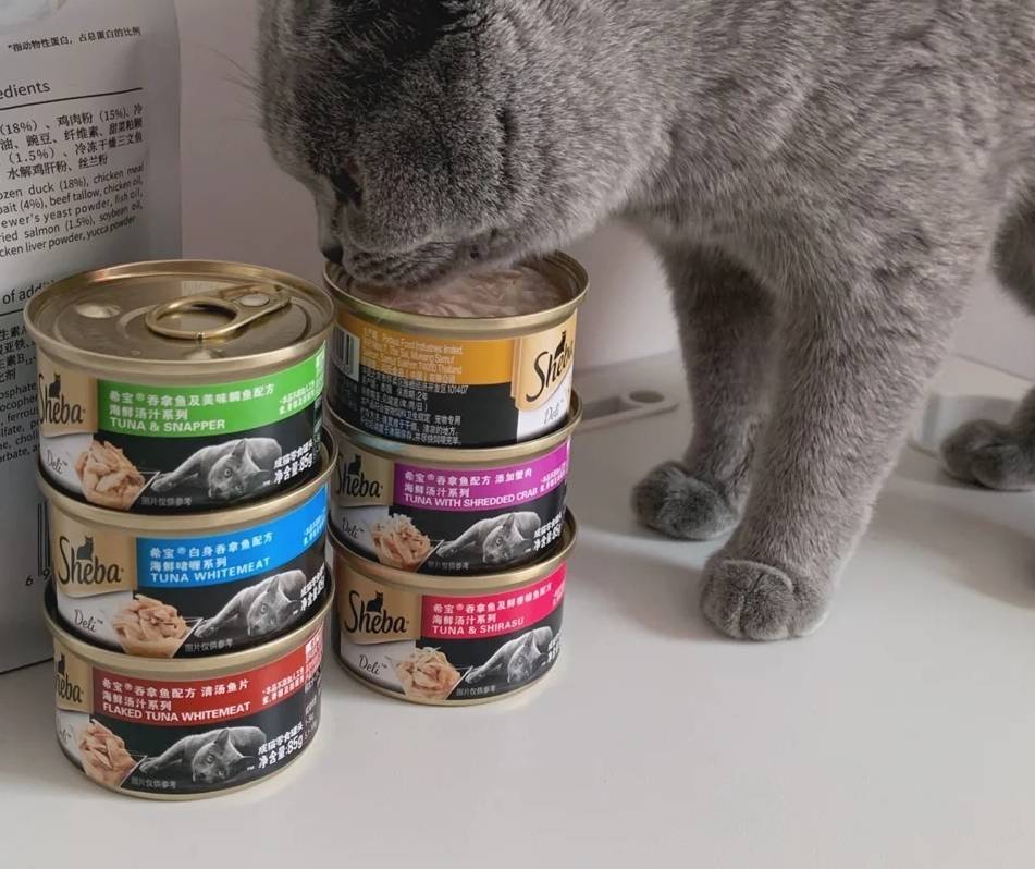 猫罐头买哪种比较好平价猫罐头品牌推荐