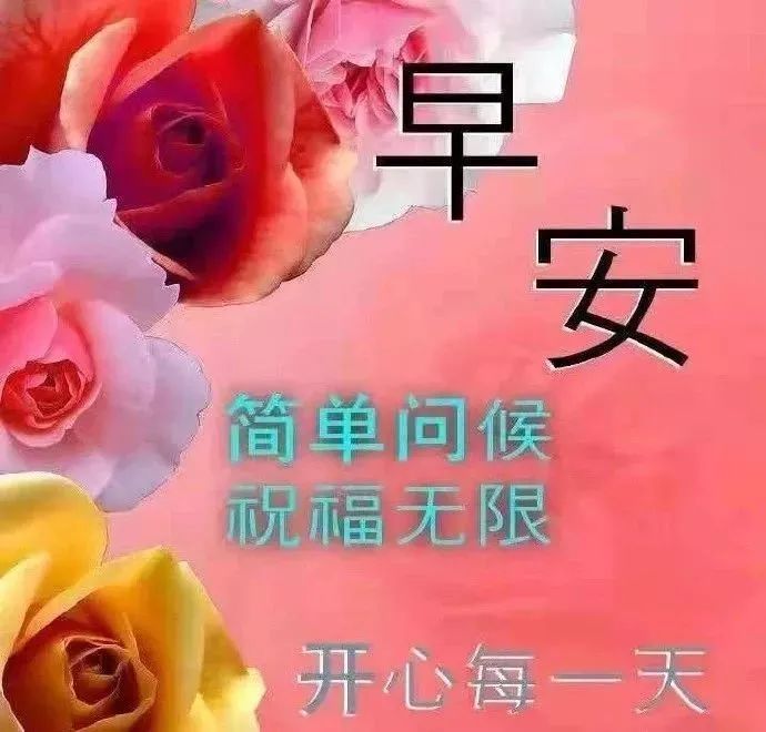 大年初八非常漂亮的鲜花早安短信群发虎年微信群早上好问候祝福动态