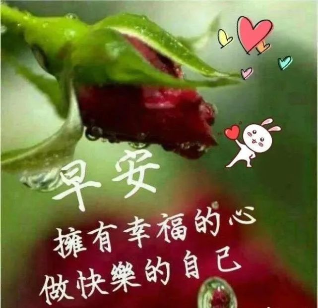 最新漂亮的微信早上好鲜花问候图片,2021年清晨阳光祝福语温馨