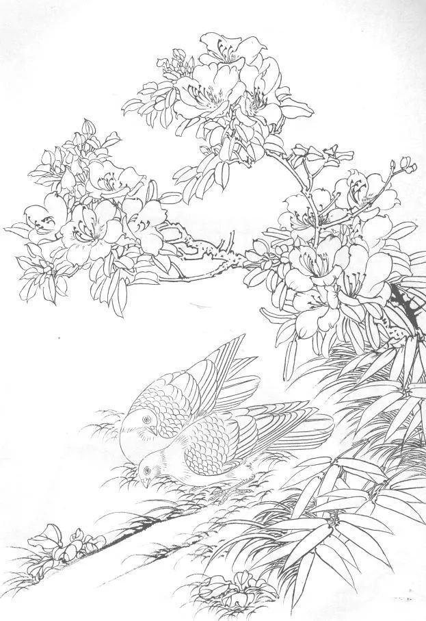 15种白描线稿分享教你画,收藏临摹