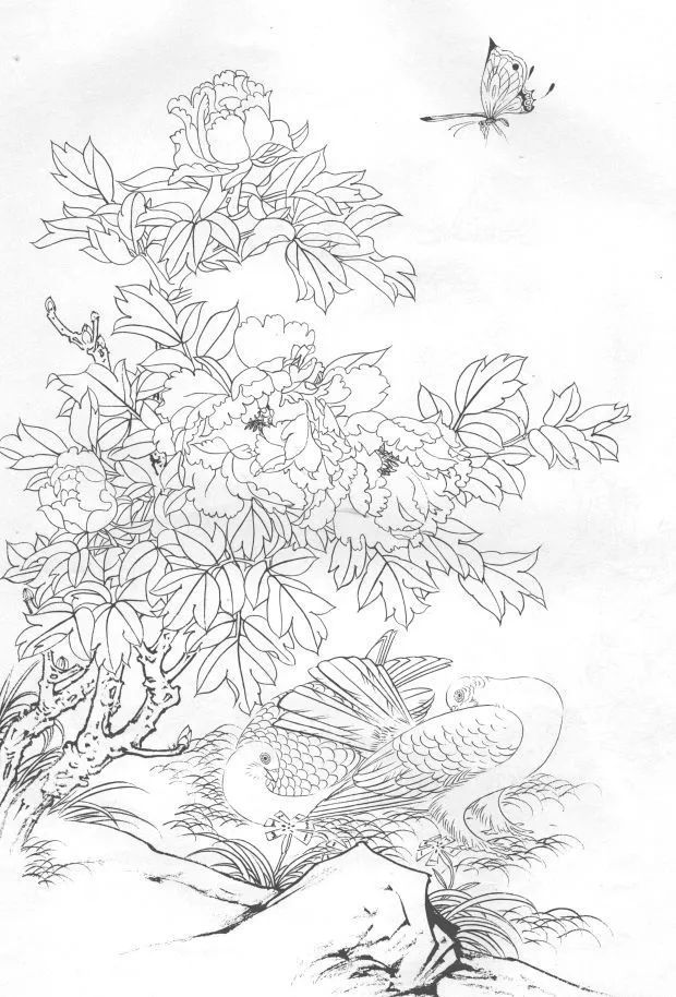 15种白描线稿分享教你画,收藏临摹