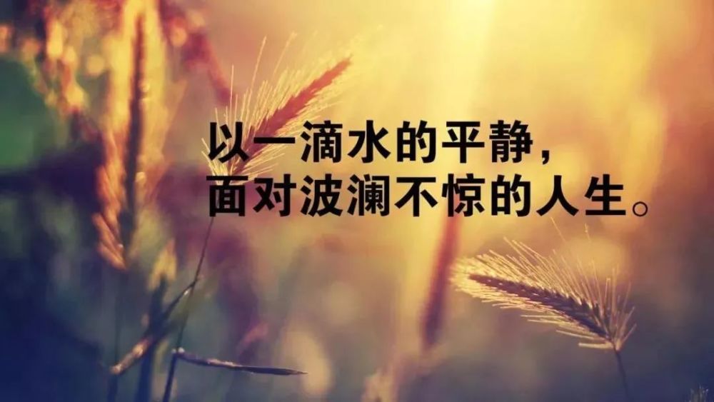 人生感言适合发朋友圈的:朋友圈精辟的人生感悟短句